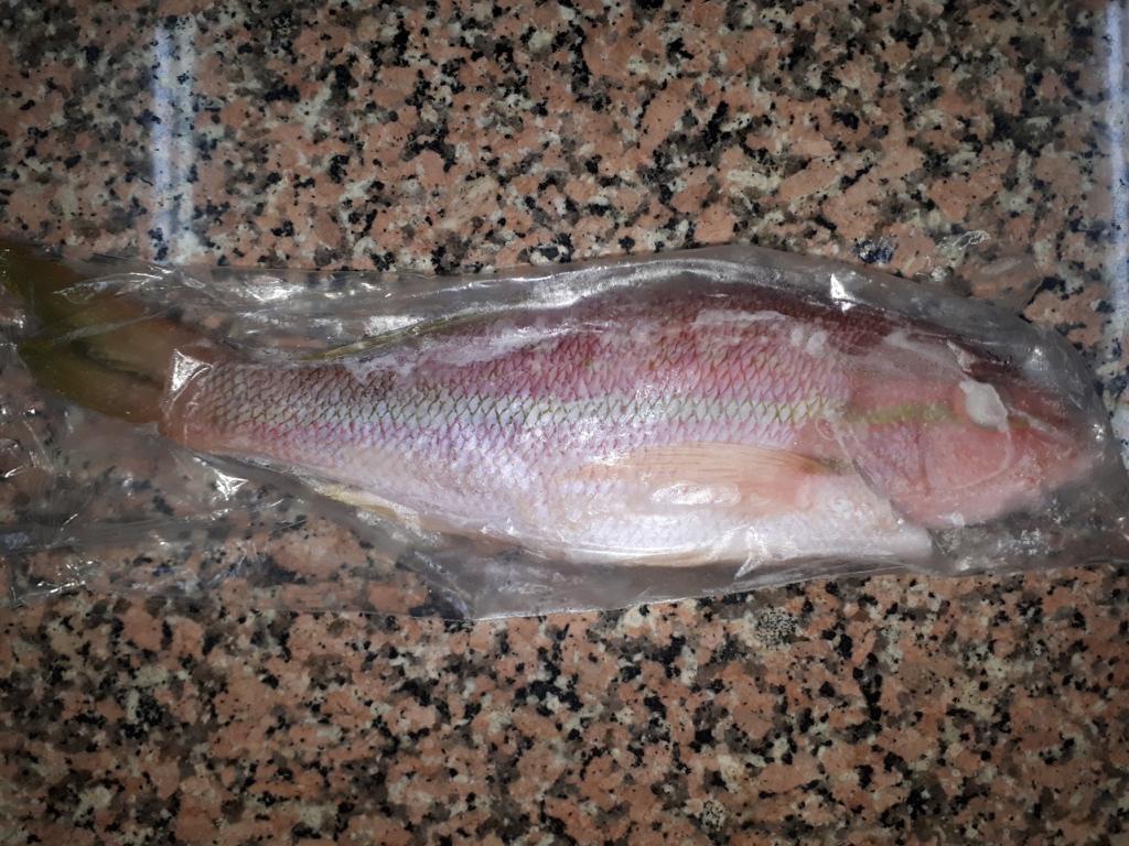 Yellowtail